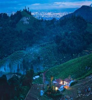 Top 10 rare animals found in the Nilgiri Hills