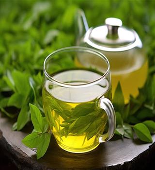 Is green tea good for health?