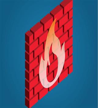 What is the purpose of firewalls in computer security?