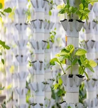 Vertical farming