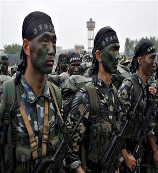 Some Facts About China's military forces