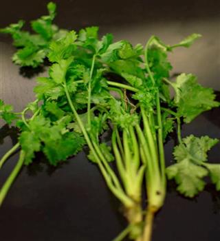 5 Leafy Vegetables to Grow on Your Terrace Like Dhaniya