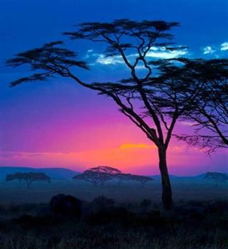 Mind Blowing Facts About Africa