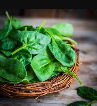 8 foods that boost iron level