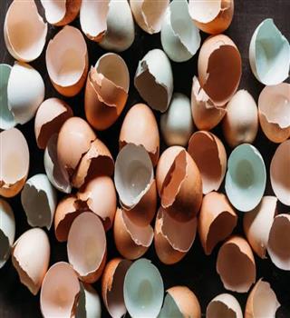 Can we eat eggshells?