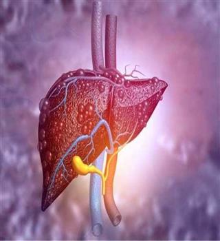 7 Foods That Are Good for Your Liver