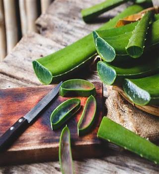 Aloe vera: 6 health benefits
