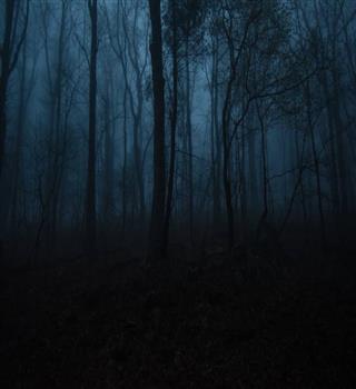 Top 5 scariest movies of all time