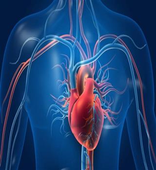 10 reasons of having high blood pressure