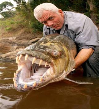 Ever heard of river monsters show?