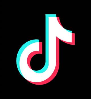 Why TikTok got banned in India?