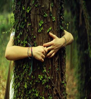 Some Surprising Facts about Nature and Humans
