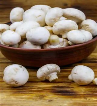 5 Easy Steps To Clean Mushroom At Home