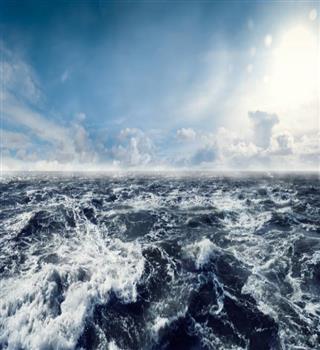 9 animals that spend their entire life in water