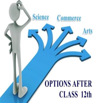 Choose The Best Career Option After 12, Intermediate