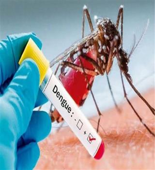 Tips to Avoid Dengue at Home