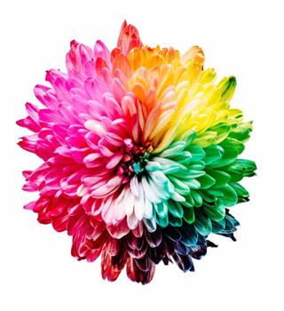 8 Crazy Facts About Colors That Will Blow your mind
