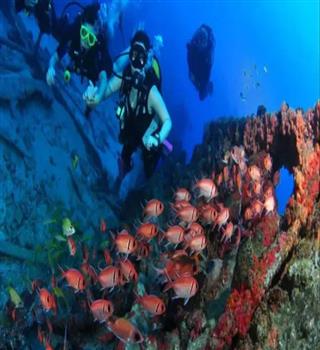 Never miss these scuba diving spot in India