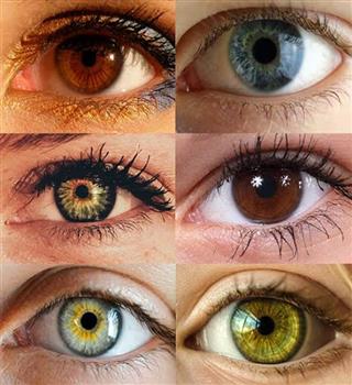 What are 6 interesting facts about eyes?