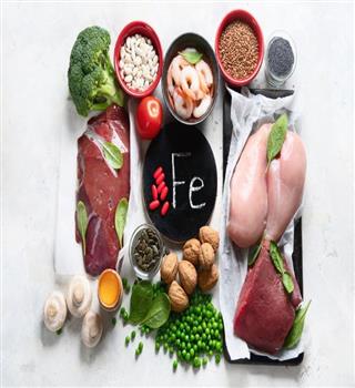 Nutrients that help to boost RBC count