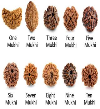 Benefits of wearing the Rudraksha