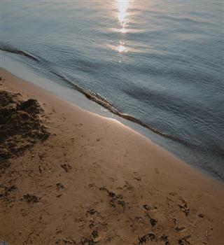 Best places to explore in Goa