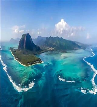 8 Unique Animals to Spot in Mauritius