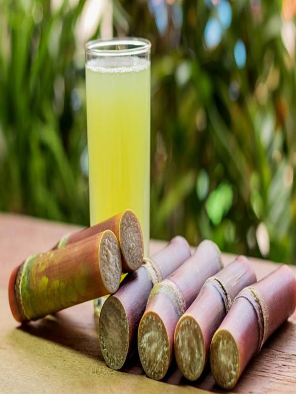 why-is-sugarcane-healthy-but-not-sugar-mindstick-yourviews