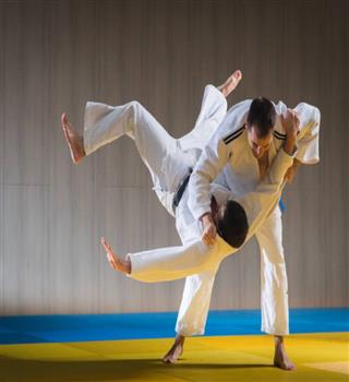 The Evolution of Martial Arts: From Ancient Traditions to Modern Sports