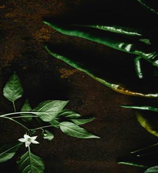 5 benefits of using Green Chilly as vegetables