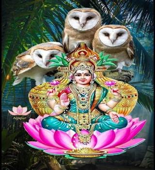 Why the Owl is considered the vehicle of Goddess Lakshmi.
