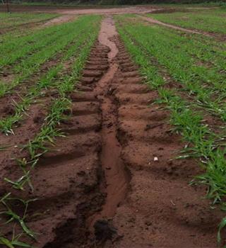 7 Ways to control soil erosion