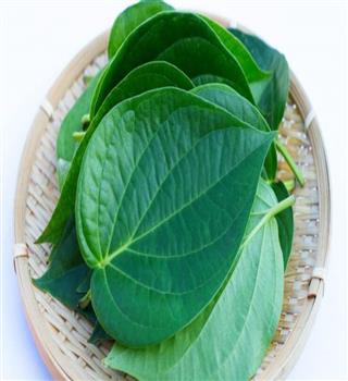 Benefits of eating betel leaves