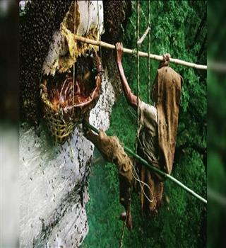 Did you know the rarest honey "mad honey"?