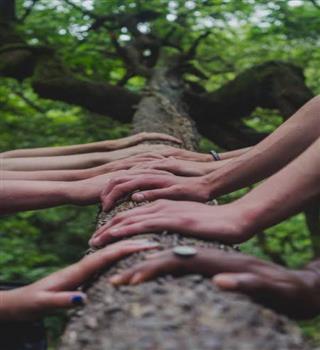 Reasons Why Being in Nature is Good for You