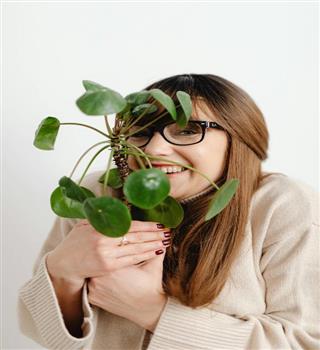 5 caring tips for your money plant