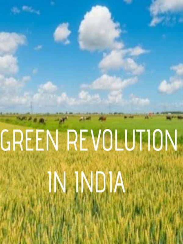5 Major Demerits or Problems of Green Revolution in India - MindStick ...