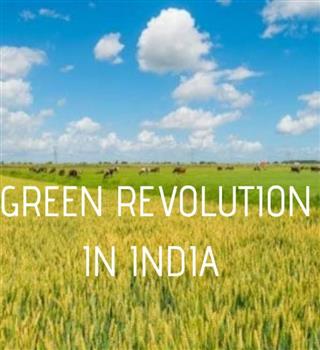 5 Major Demerits or Problems of Green Revolution in India