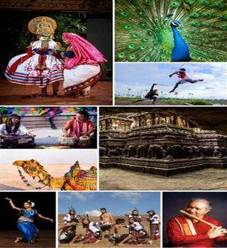 Reasons Why I Can't Leave India