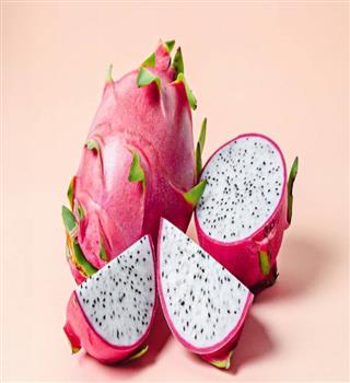 How to Grow Dragon Fruit in a Pot in the Terrace Garden
