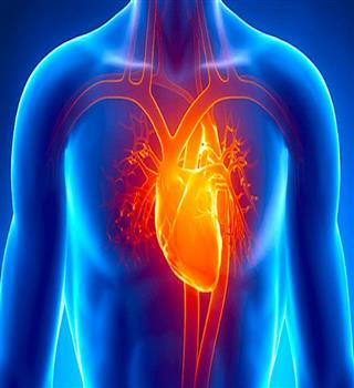 10 Possible Heart Symptoms You Shouldn't Ignore