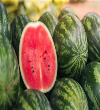 10 Best fruit to keep the human body hydrated