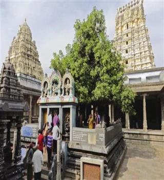 Ekambareswarar Temple – Where Shiva Worships Earth Itself