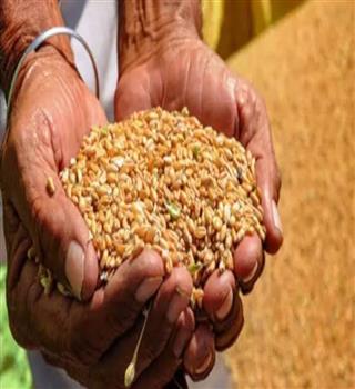 What is the global hunger index?