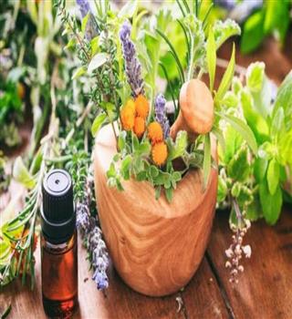 Most Powerful Medicinal Plants and Herbs, Backed by Science