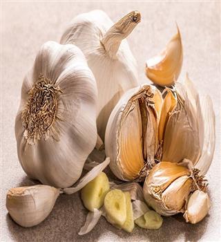 12 amazing health benefits of eating raw garlic