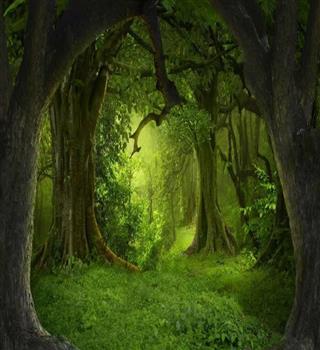 Nature Doesn’t Hurry… Yet Everything Gets Done