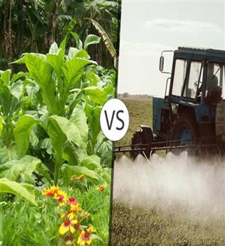 Organic farming vs Conventional farming. Which is better? Why?