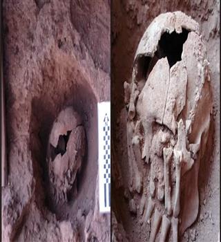 Is it true, beheading actually remains alive for a while?