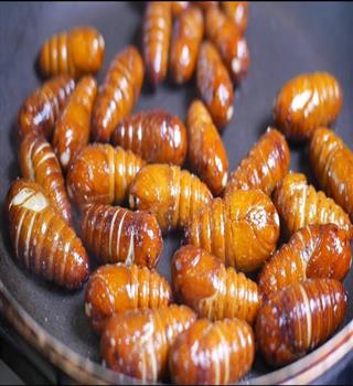 10 popular insects Chinese people eat